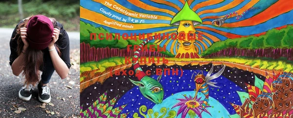 MDMA Инта