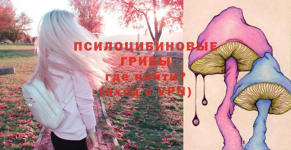 а пвп мука Иннополис