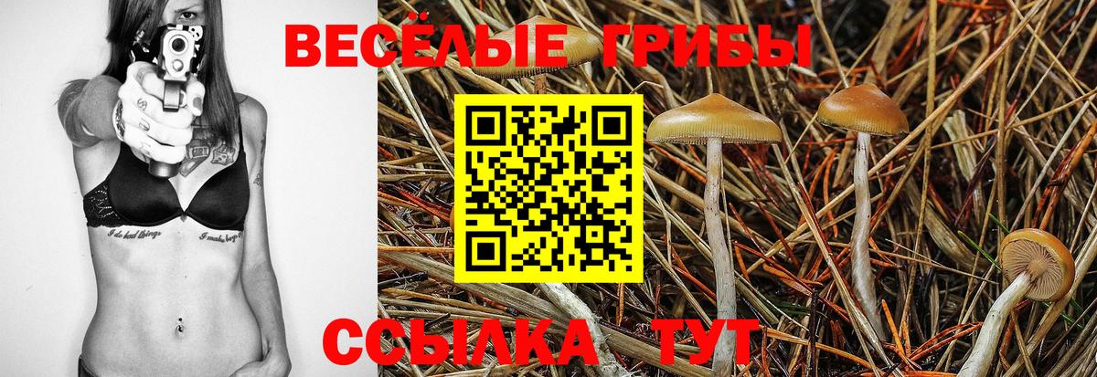 Среднеуральск  Галлюциногенные грибы GOLDEN TEACHER  Вход с VPN 